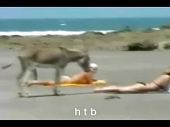 Tuyệt, cô gái tóc và ...