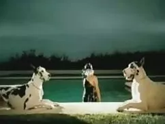Bắn trên sex au phu  ...