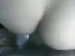 Xe buýt-mồi phim sex ...