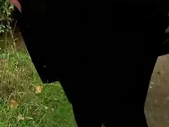Chuyển những giấc mơ ...